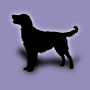 icon Dog(Honden rassen)