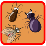 icon air.Insects.variety.games.A4enc(Insectenverpletterende - Diverse spellen)