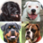 icon Dogs Quiz(Honden Quiz - Raad populaire hondenrassen op de foto's
) 3.3.0