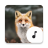 icon Fox Sounds 4.1.6