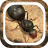 icon The Ants Underground Kingdom Beginner Guide(The Ants Underground Kingdom Beginner Guide
) 1.0.0