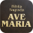 icon app.padrereginaldo(Holy Bible with Harp) 1.0.9.1
