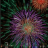 icon fireworks(Vuurwerk!) 1.10