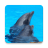 icon Dolphin sound to relax(Dolfijnen - Geluid om te ontspannen) 1.8