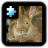 icon Rabbit(Jigsaw Puzzle: Rabbit) 2.0