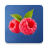 icon RaspberryMeet(RaspberryMeet
) 1.10