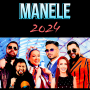 icon Radio Manele(Radio Manele 2024)