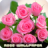 icon Rose Wallpapers(Rozen bloem Wallpapers V2) 2.0.2