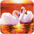 icon The Swan(The Swan
) 1.0.9