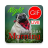 icon GIF Afrikaans Morning & Night(Afrikaans Morning Night Gifs
) 2.14.00