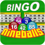 icon Nine Balls Video Bingo (Negen ballen Video Bingo)