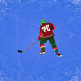 icon com.HockeyPass(Hockey Pass
)