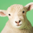 icon Sheep Sounds(Schaap klinkt) 3.0.1