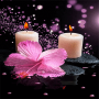 icon Pink Flower Candle LWP(Roze bloemkaars LWP)