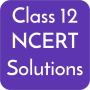 icon Class 12 NCERT Solutions ()