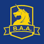 icon B.A.A. Racing(B.AA Racing App)