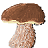 icon Mushroomizer(Champignons
) 2.4.2
