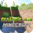 icon Realistic Mod Minecraft(Realistisch Shader Mod Craft
) 1.0