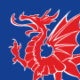 icon North Wales Live (Noord-Wales Live)