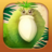 icon Kakapo Run(Kakapo Run: Animal Rescue Game) 2.0.3