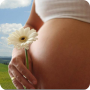 icon ru.fedr.pregnancy(Zwangerschaps kalender)