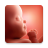 icon Pregnancy(Zwangerschapsapp en babytracker Telefoontracker) 3.0