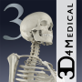 icon Essential Skeleton 3(Essentieel skelet 3)