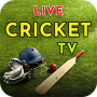 icon Live Cricket Tv(Live Cricket TV: Live Cricket Score Schema
)
