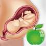icon Pregnancy Care Diet & Nutrition(Zwangerschapstips Dieetvoeding)