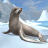 icon Sea Lion Simulator 3D(Sea Lion Simulator) 1.1