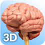 icon Brain Anatomy Pro(Brain Anatomy Pro.)