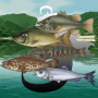 icon Touch Fishing(Touch Fishing - River)