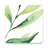 icon Lovely(Lovely: Plants care and Inspiration
) 1.3.9