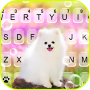 icon Cute White Dog(Cute White Dog Keyboard Background
)