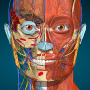 icon AnatomyLearning(Anatomy Learning - 3D Anatomy)