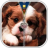 icon com.androbeings.puppy.zipper.lock.screen.free(puppyhond Rits Vergrendelscherm) 50.6