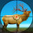icon Deer Hunt Wild Animal Shooting Games 2021(Deer Hunt Wild Animal Shooting Games 2021
) 1.0
