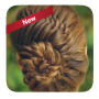 icon Easy braid hairstyles(Gemakkelijke vlechtkapsels)