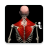 icon Anatomy(Anatomy by Muscle Motion
) 2.3.0