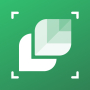 icon LeafSnap Plant Identification (LeafSnap Plantidentificatie)