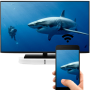 icon Screen Mirroring Pro TV(Screen Mirroring Pro TV
)
