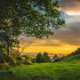 icon Good Afternoon Images Quotes (Goedemiddag Afbeeldingen Citaten)