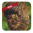 icon Easy braid hairstyles(Gemakkelijke vlechtkapsels) 21.0.0