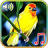 icon Birds sounds ringtones(Birds Sounds Ringtones Wallpapers) 1.3