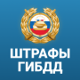 icon ru.rosfines.android(RosFines Verkeerspolitieboetes en verplichte motorverzekering)