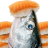 icon com.HelloFish.Salmon(鮭 魚吃 壽司
) 1.9