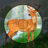 icon Wild Animal Hunting Adventure(Trex Dino Hunter: Wild Hunt 3D) 1.0