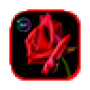 icon Valentines day Flowers Gif (Valentijnsdag Bloemen Gif
)