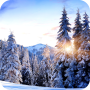 icon Winter Paradise Live Wallpaper(Winter Paradise 4K Live Wallpaper
)
