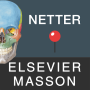 icon Mémofiches Anatomie Netter (Netter Anatomy Memo Pads)